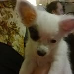 Jane Lambert - @jane.lambert.351 - Instagram
