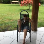 Jane Lambert - @janelambert123 - Instagram
