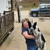 Jane Lambert - @janelambert44 - TikTok
