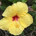 Jane Lammers - @janelammers - Instagram