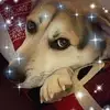 janesegallammers - @janesegallammers - TikTok