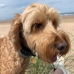 Jane Lamyman - @janeylamy - Instagram