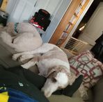 Jane Lance - Facebook