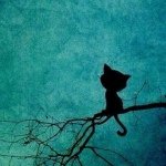 Jane Lance - @jane_5725 - Instagram