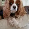 Jane Deslandes - @jane.deslandes - TikTok