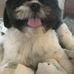 Jane Landes - Facebook