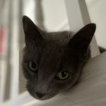 Jane Langford - @janelang - Instagram