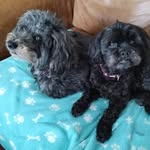 Jane Langley - @janelangley70 - Instagram