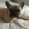 janelangley - @janelangley2 - TikTok