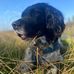 Jane Langlois - Facebook