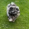 janetlangton8jan - @janetlangton8 - TikTok