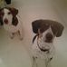 Jane Lassiter - Facebook