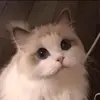Jane² - @janelaurencemaglo5 - TikTok