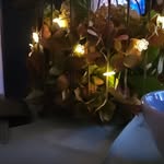 Jane_Lavender - @jane_lavender_garden_ - Instagram