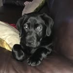 Jane Lavender - @janelavender7 - Instagram