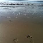Jane Lawless - @jane_lawless - Instagram