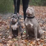 Jane Lawless - @jane.lawless.9 - Instagram