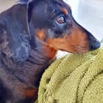 Jane Lea Duncan-Keiser - @janeleaduncan - Instagram
