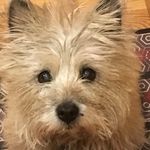 Jane Leavitt - @jeleavitt - Instagram