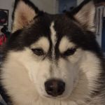 Janice M Leavitt - @leavittjanice - Instagram