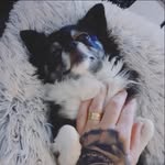 Jane Leiswall - @jane.leiswall - Instagram