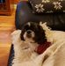 Jane Liles - Facebook