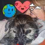 Jane Lind - @jane_lind71 - Instagram