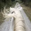 Janelinehan19 - @janelinehan19 - TikTok