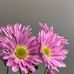 Jane Ling - Facebook