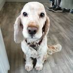 Jane Lister - @jane_lister1 - Instagram