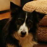 Jane Lister - @jane.lister.395 - Instagram