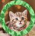 Jane Littlejohns - Facebook