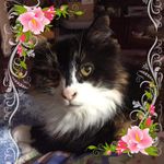 Sally Jane Longfellow - @sallyjanelongfellow - Instagram
