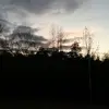 janeloughrey772 - @janeloughrey772 - TikTok