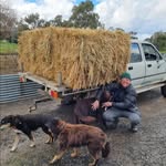 Jane Lovell - @triquetrastation - Instagram