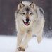 Jane Ludwig - Facebook