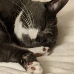 Jane Lundy - @lundy380 - Instagram