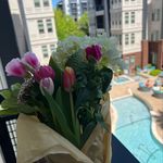 Lundy Jane - @shoplundyjane - Instagram