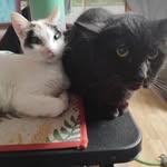 Jaynie Lytton - @thelmajanechilcoat - Instagram