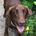 Jane MacAdam - @macadam.jane - Instagram