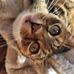 Jane MacArthur - Facebook