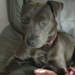 jane machin - @janemachin26 - Instagram