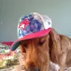 emmajanemacintyre - @emmajanemacintyre - TikTok