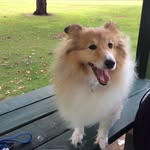 Jane Macintyre - @roneeciinet.com.au - Instagram