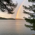 Jane Macintyre - @whitepinecottageheney - Instagram