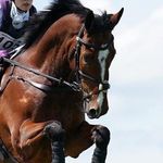 Jane Mackinnon - @janemackinnon2023 - Instagram
