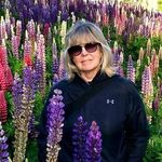 Jane MacKinnon - @jemackinnon - Instagram