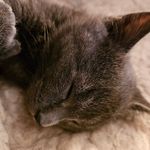 Jane MacKinnon - @janeandvernon - Instagram