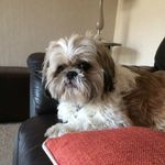 Jane Mackintosh - @janemack21 - Instagram
