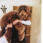 Jane Maclean - @maclean5015 - Instagram